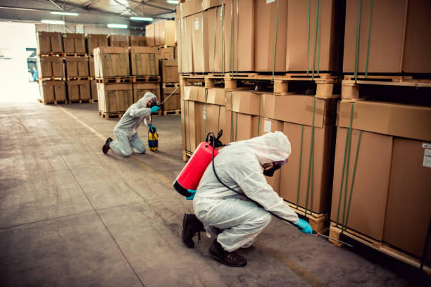 Best Bed Bug Extermination  in Rohnert Park, CA