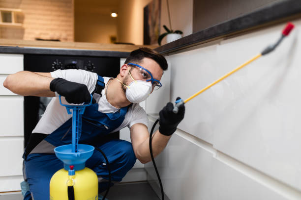 Best Rat Extermination Near Me  in Rohnert Park, CA