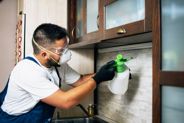 Best Best Pest Control Companies  in Rohnert Park, CA