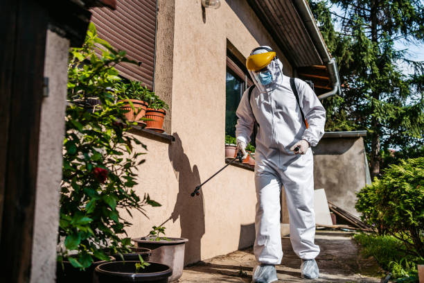 Best Flea Control Services  in Rohnert Park, CA