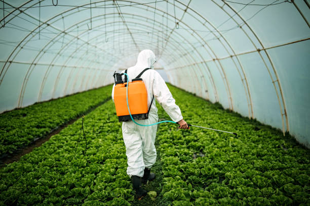 Best Pest Control for Businesses  in Rohnert Park, CA