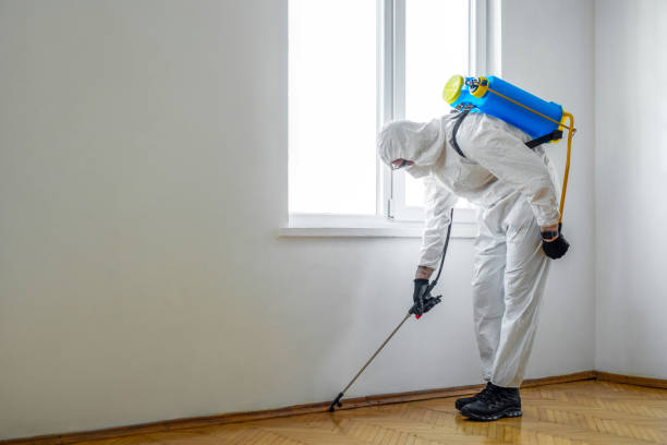 Best Affordable Pest Control Services  in Rohnert Park, CA