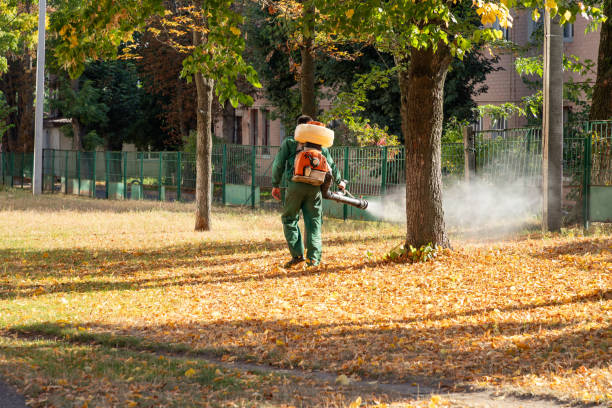 Best Bird Control  in Rohnert Park, CA