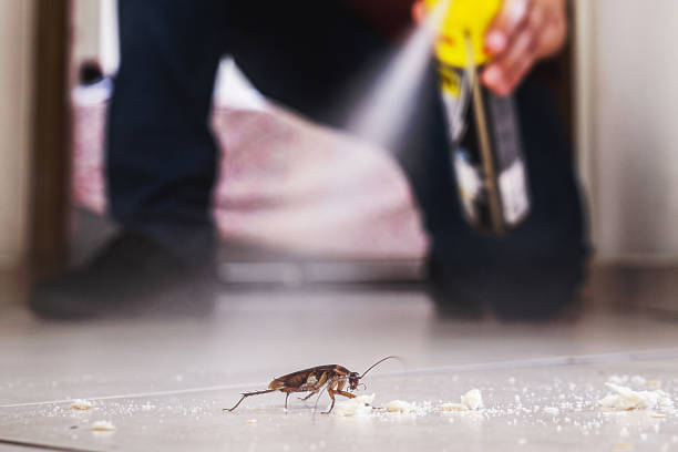 Best Affordable Pest Control Services  in Rohnert Park, CA
